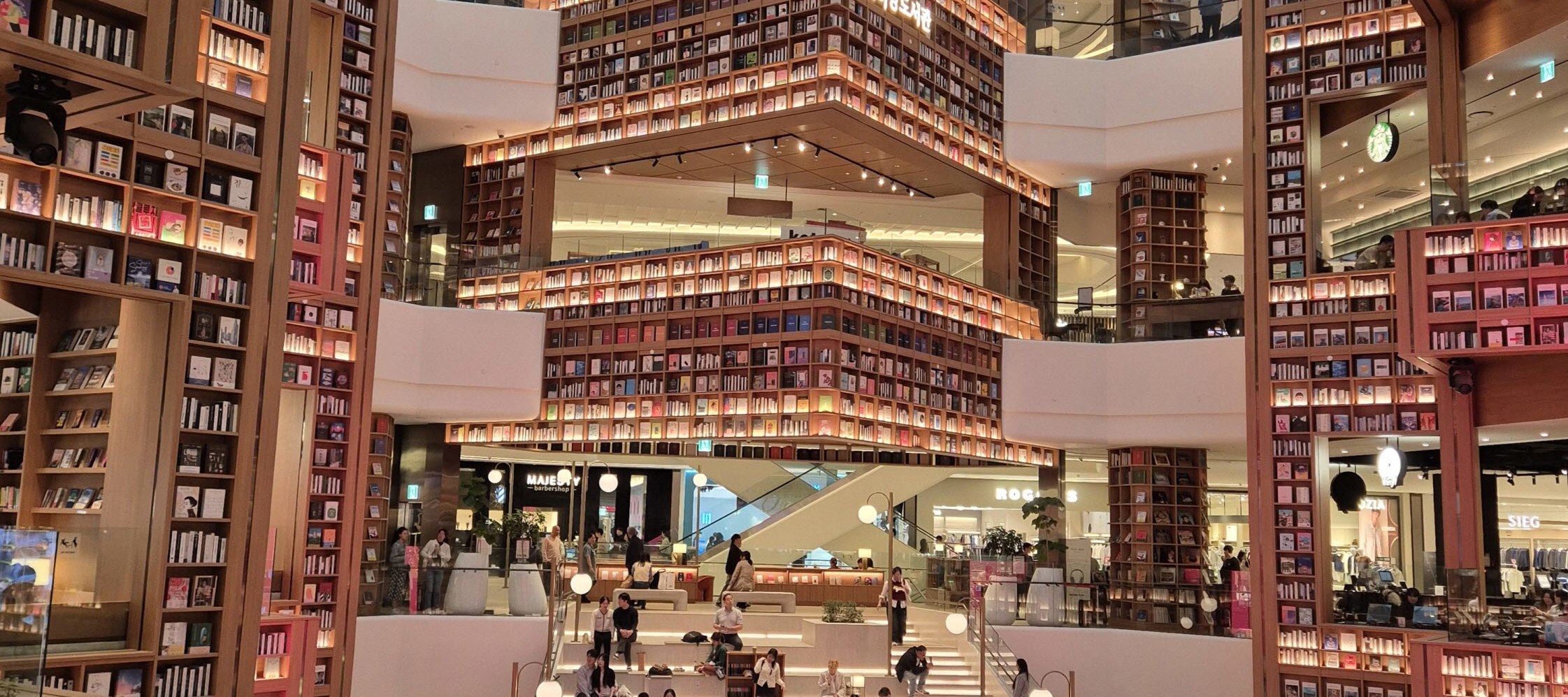 Suwon Hwaseong fortress and Starfield library tour 