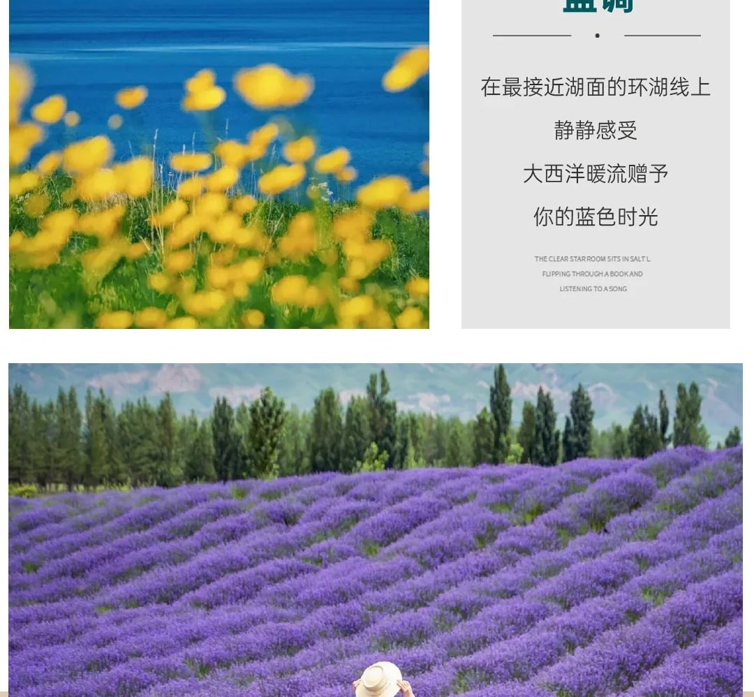 新疆童話伊犁8日（賽里木湖景區帳篷露營+伊昭公路+夏塔古道+瓊庫什臺騎馬+庫爾德寧+那拉提空中草原）