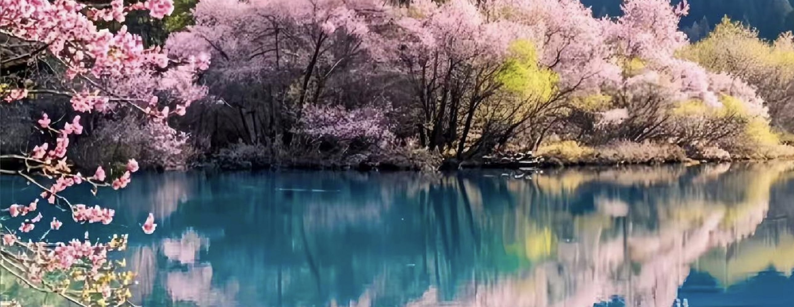 粉花滿樹映碧水，花枝垂落湖面，水下紋路清晰可見。粉豔花影與碧綠湖水交織，春日的浪漫與山水的靈秀完美融合，如夢幻仙境