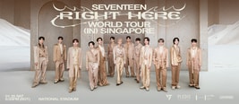 SEVENTEEN [RIGHT HERE] WORLD TOUR IN SINGAPORE