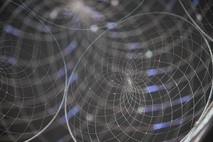 Wyndham Social | Bubble Reveries by Mandy Ma