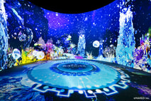 光之影海洋展-如同搭乘通往深海的電梯般,從海面前往神秘的深海世界6500m