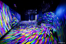 光之影海洋展-由地球上最大的魚群編織而成的海洋奇蹟!