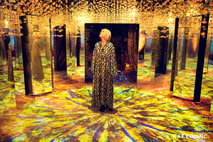 「NAKED FLOWERS花之舞光影展」7大必看展區-BLOOMING GARDEN盛綻花園