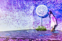 「NAKED FLOWERS花之舞光影展」7大必看展區-DANDELION PROJECT 與世界連