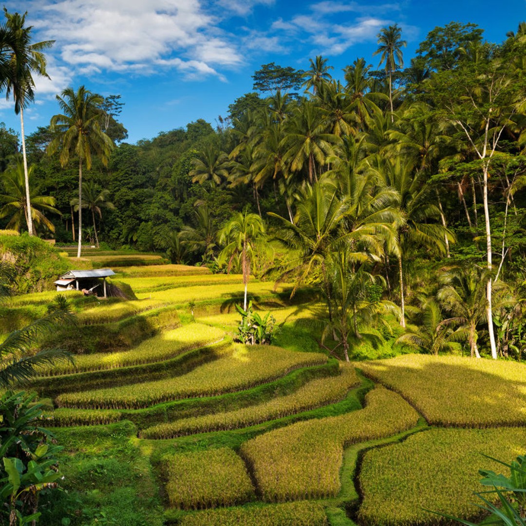 印尼在地特色體驗】TOP10在地行程馬上體驗| FunTime旅遊比價