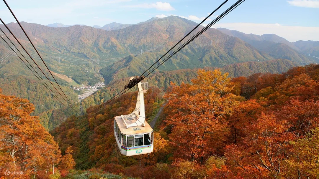 Top Japan Autumn activities