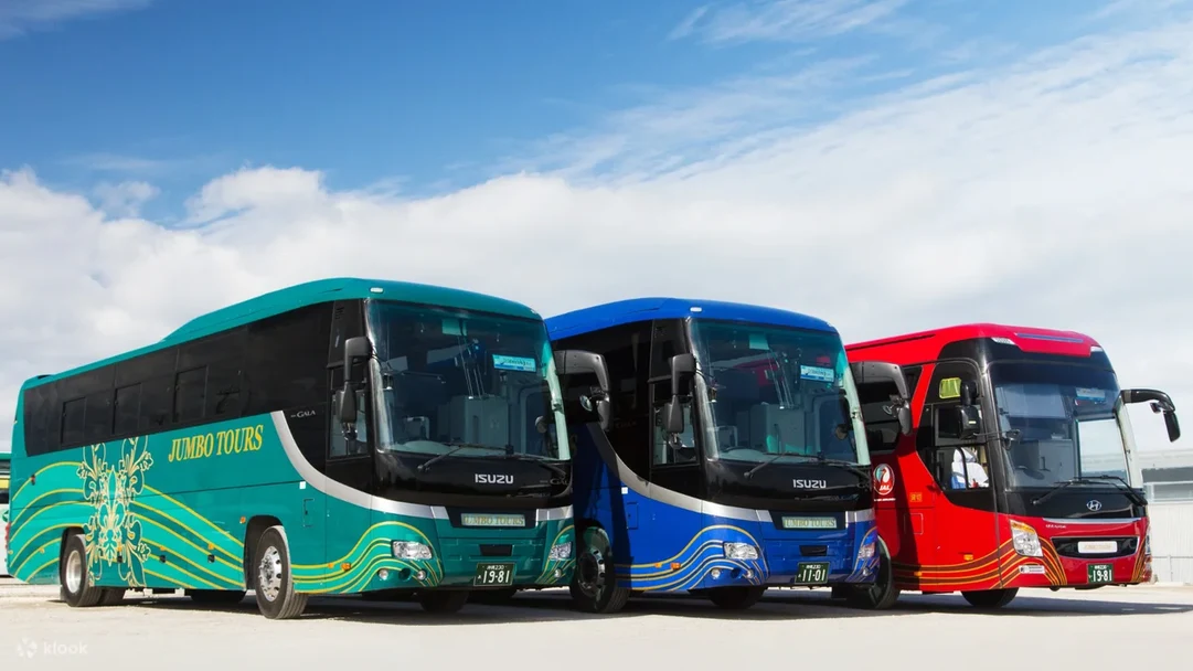 Top Okinawa Prefecture Cherry blossom