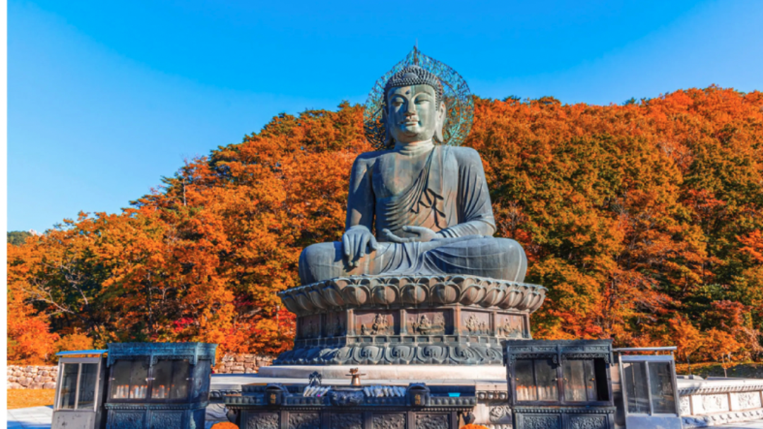 Top Seoul Autumn activities
