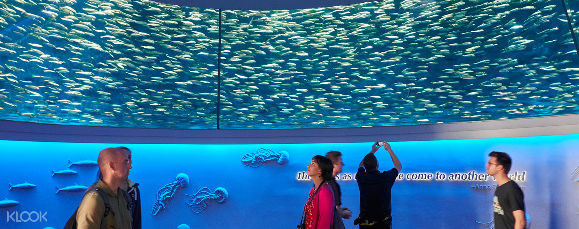 Monterey Bay Aquarium Admission Ticket San Francisco, USA - Alfelvrcf0wtfrjl6bze