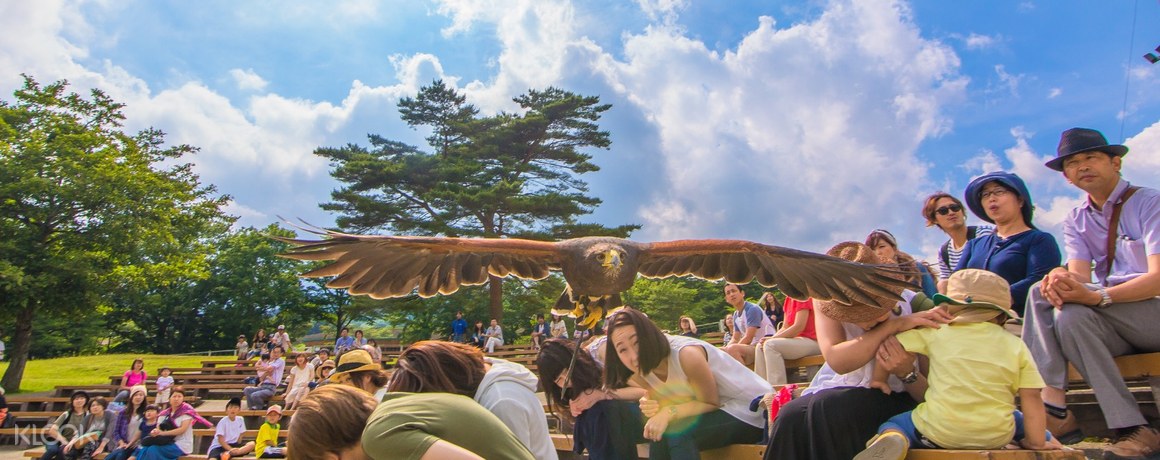 Nasu Animal Kingdom Admission Ticket