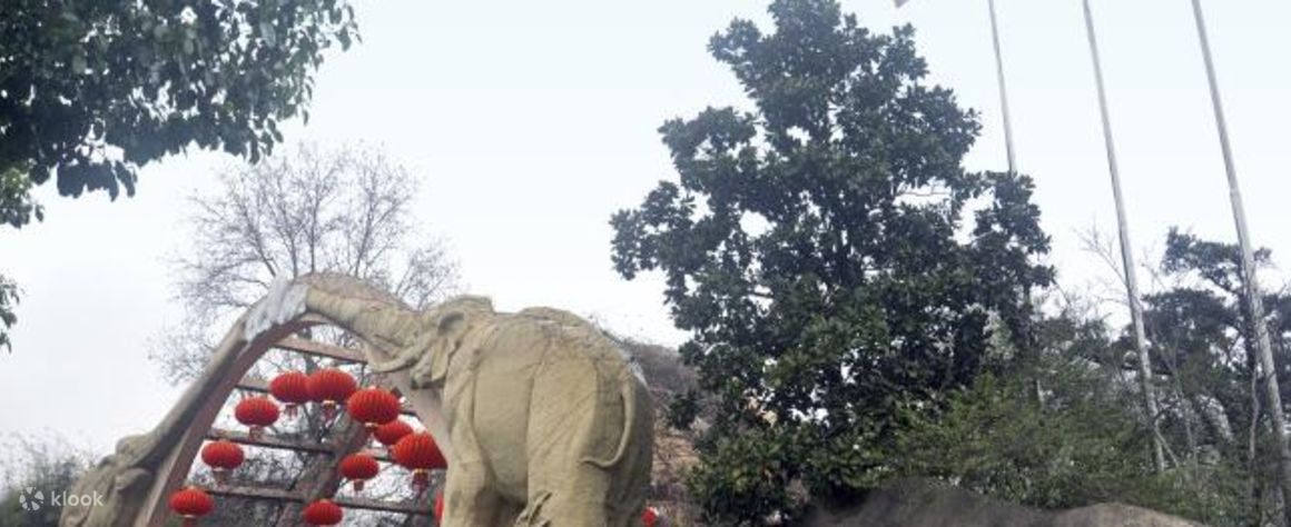 上海動物園門票 Klook香港