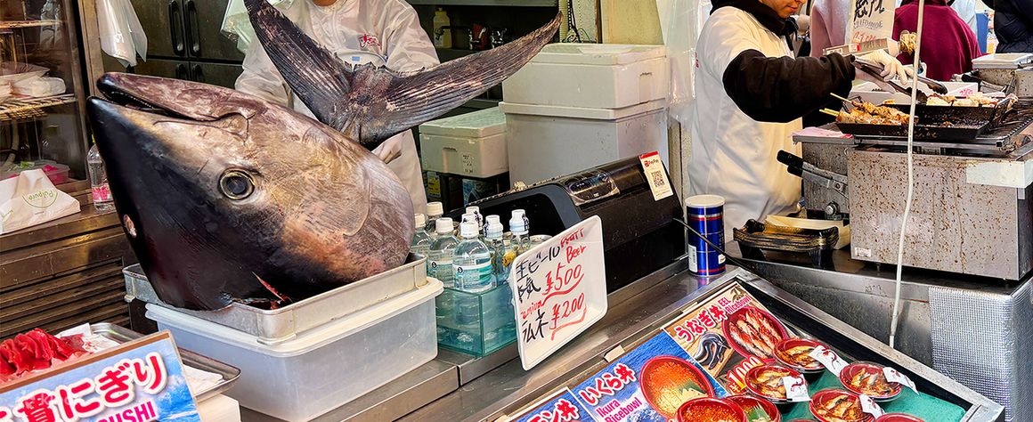 Tokyo Tsukiji Fish Market Food and Culture Walking Tour - Klook États-Unis