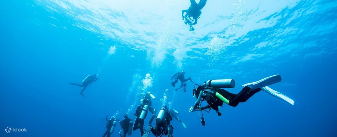 Dive into Adventure: PADI Advanced Open Water Dive in Tioman with PADI