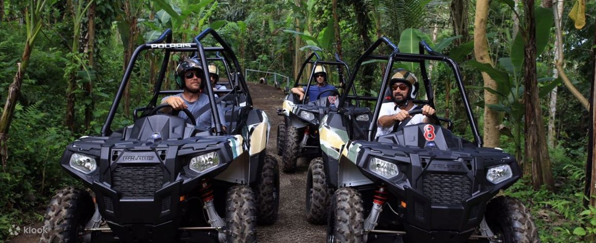 Buggy Ride and Coffee Making Experience in Bali, Indonesia - Klook