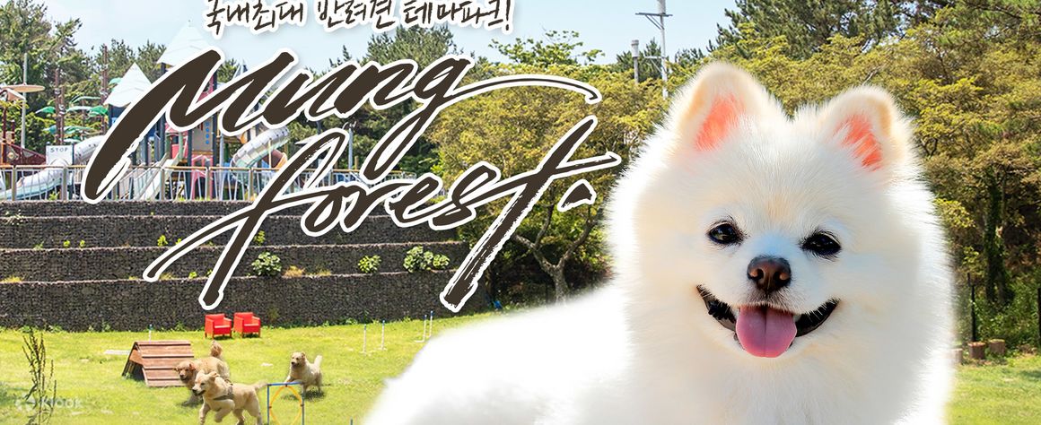 제주 멍포레스트 애견카페 입장권 - 클룩 Klook 한국