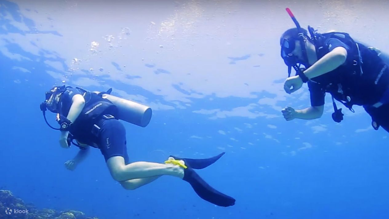 PADI Diving Courses in Koh Samui, Thailand Klook