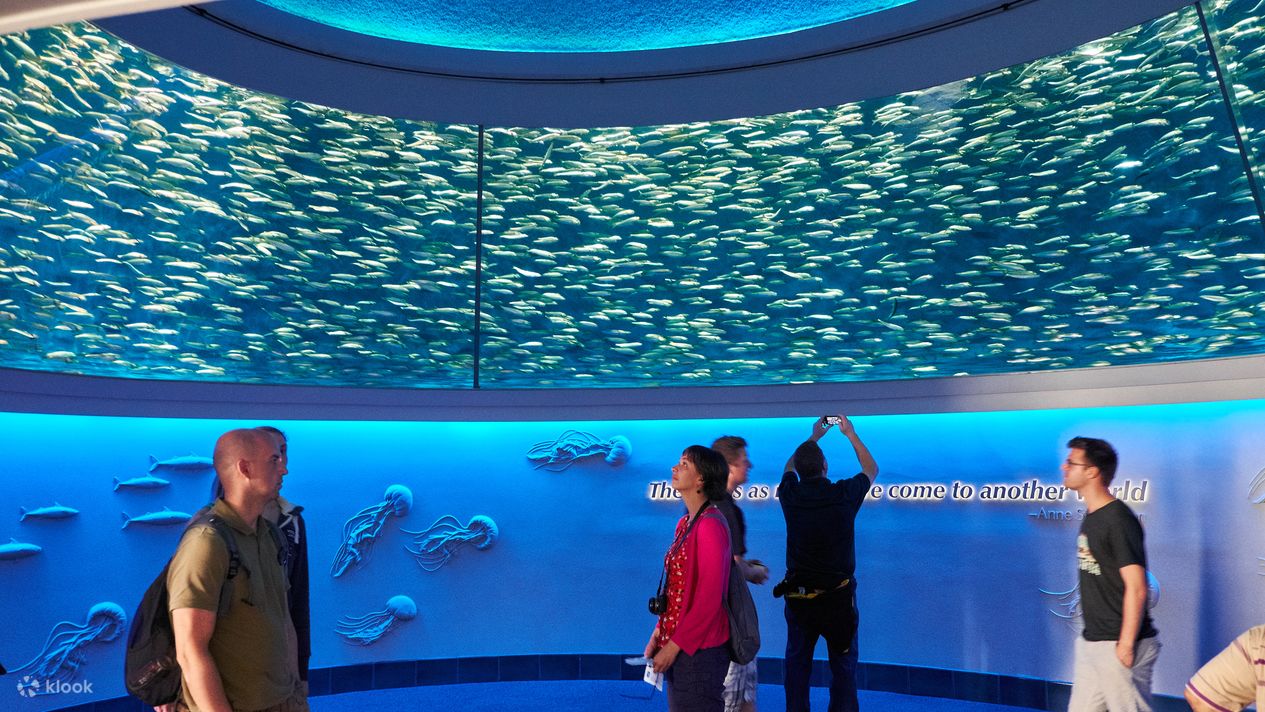 Monterey Bay Aquarium Admission Ticket San Francisco, USA Klook