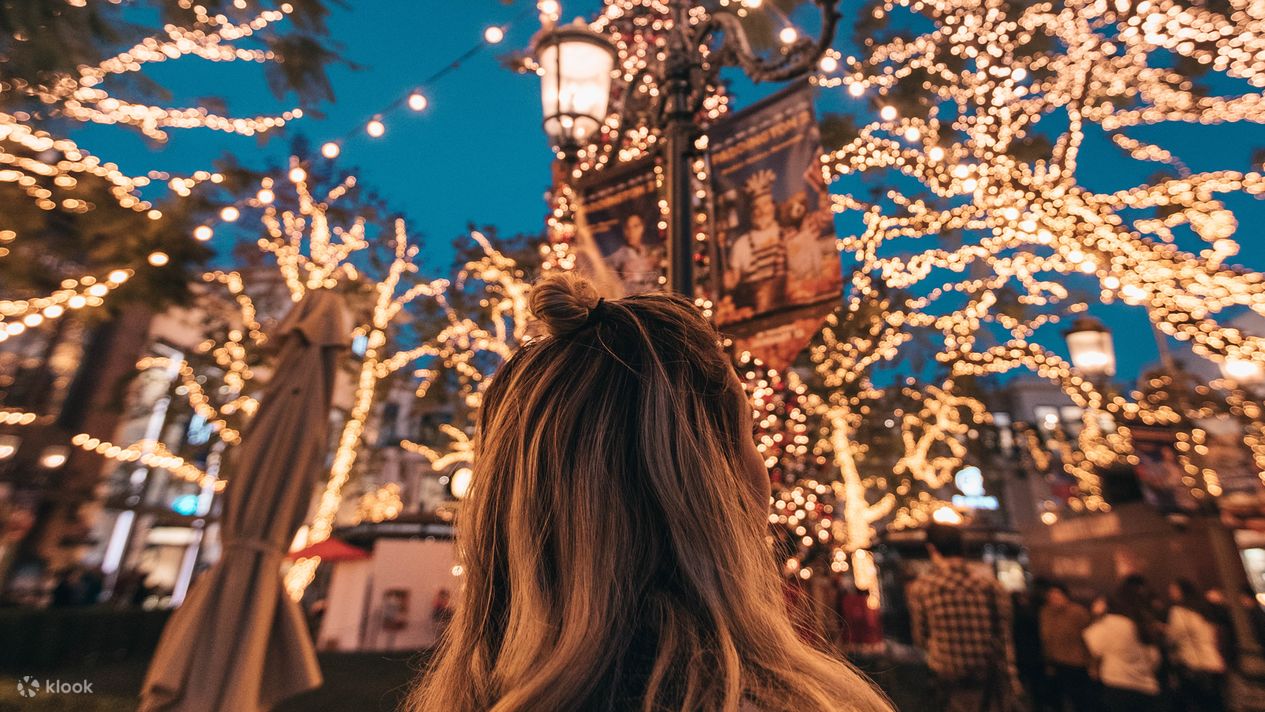 Dallas Holiday Lights Tour Klook