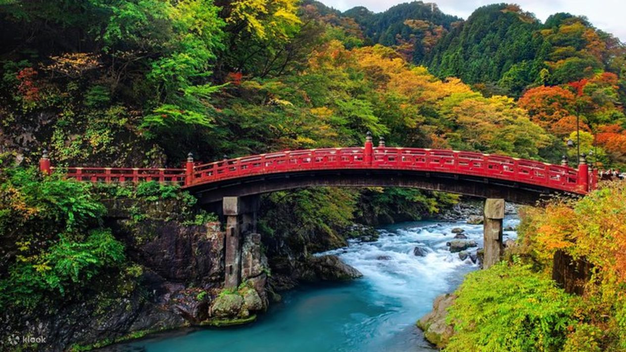 Private Nikko Sightseeing
