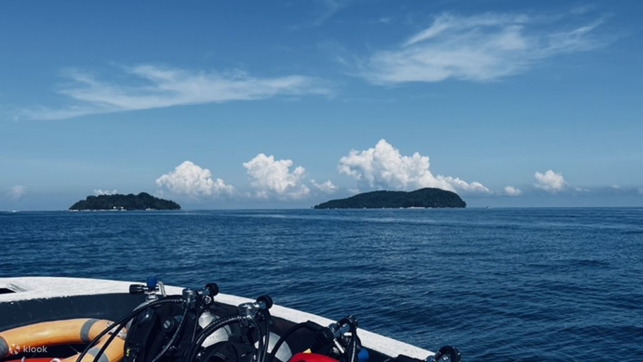 Discover the Underwater Wonders with a FullDay Dive Trip in Kota