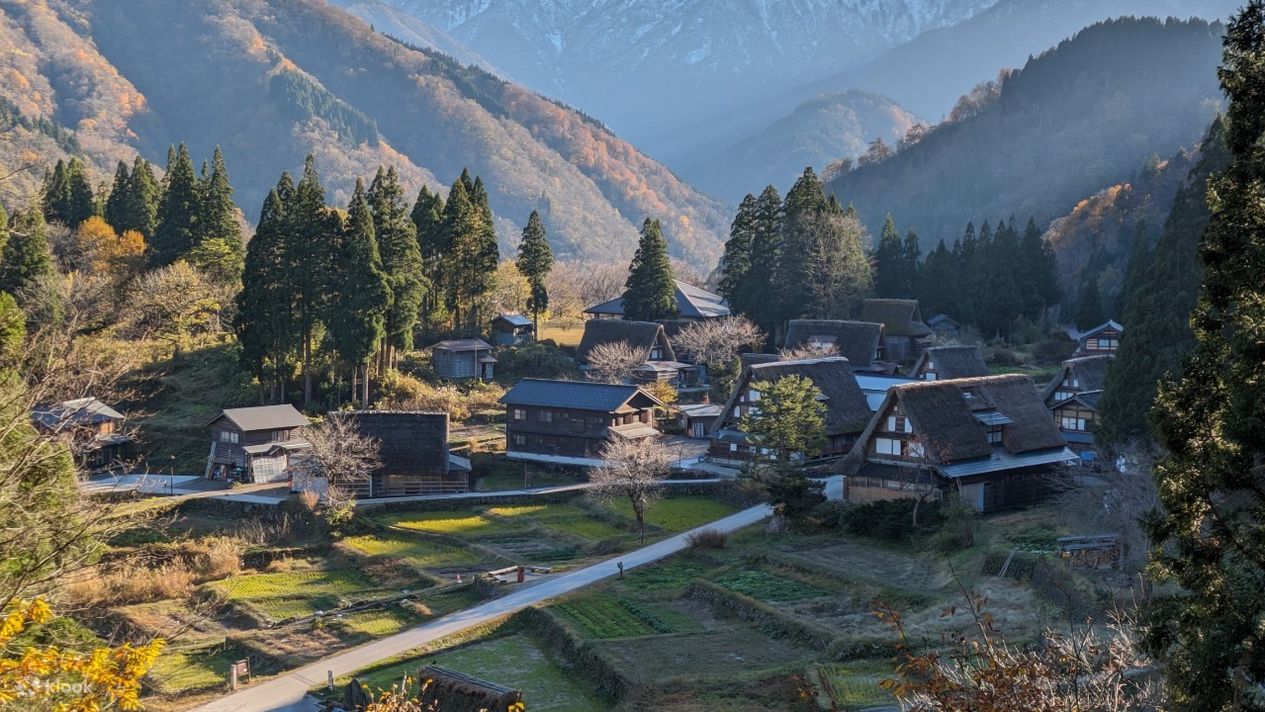 从金泽出发：白川乡、五箇山、木雕村 - Klook客路