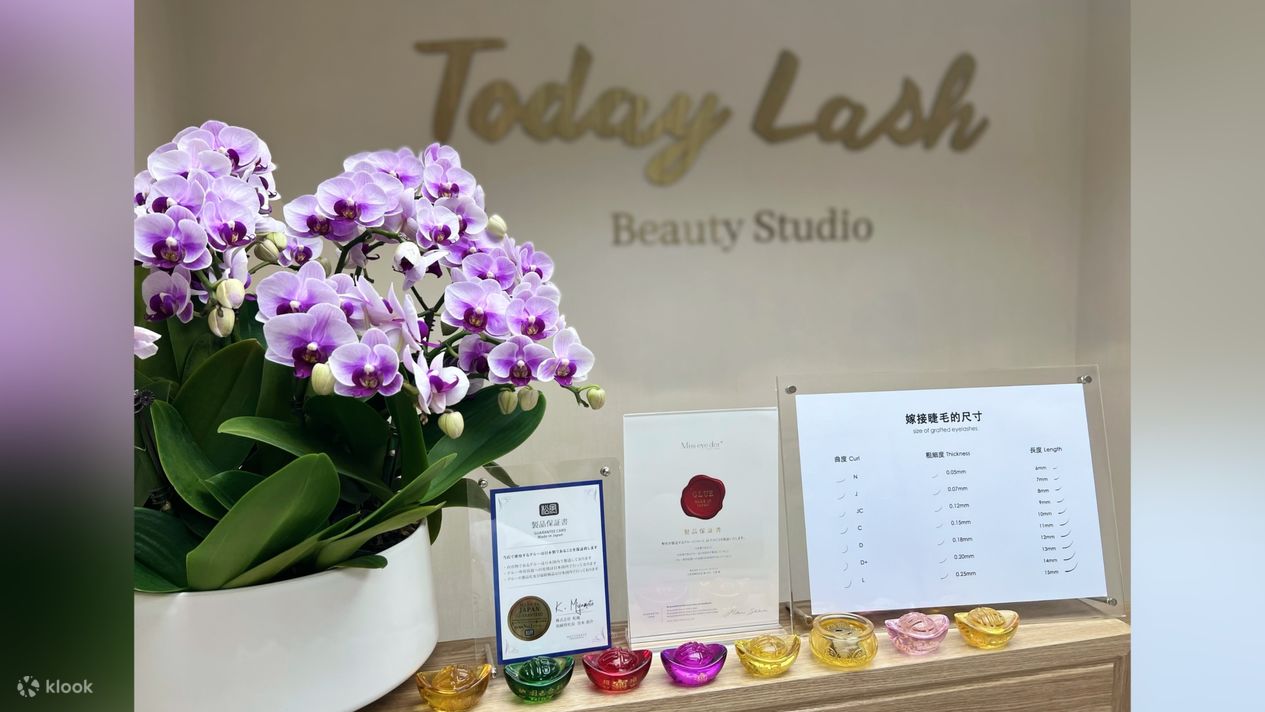 Discover the Art of Lash Beauty at TodayLashBeauty Expert Lash