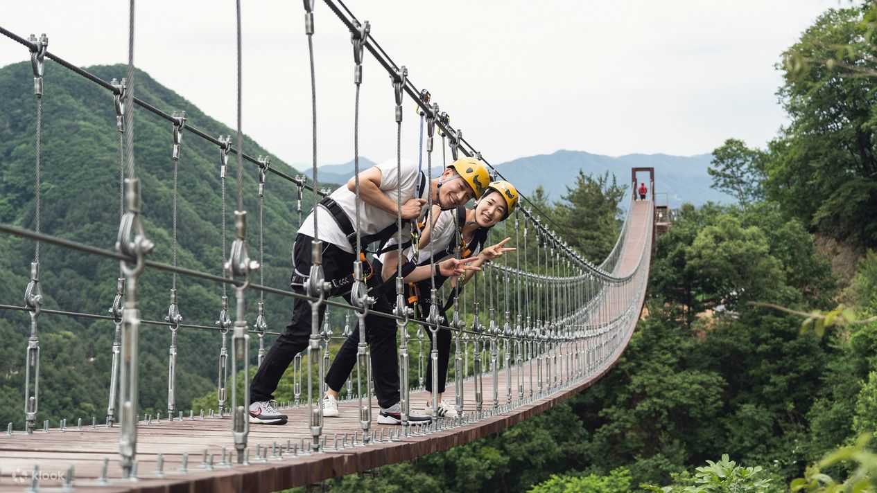 Подвесной мост Zipline