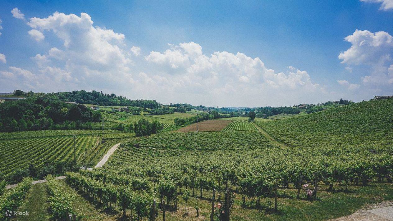 Prosecco valley wine tour from Venice Klook Canada