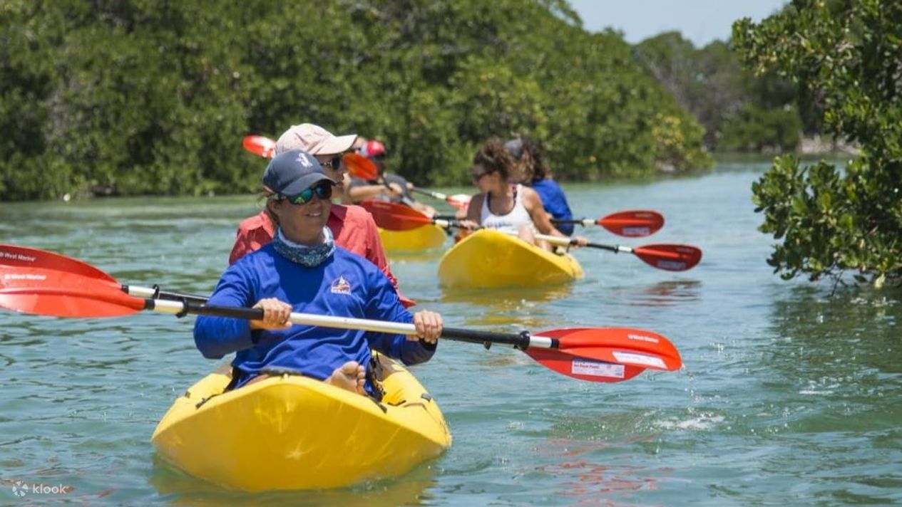 Key West Island Eco Tour with Kayak and Snorkeling from Miami - Klook ...