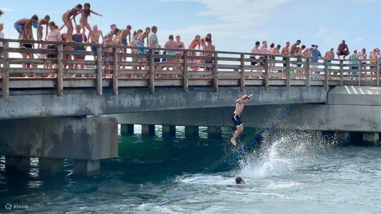Martha s vineyard jaws tour klook canada