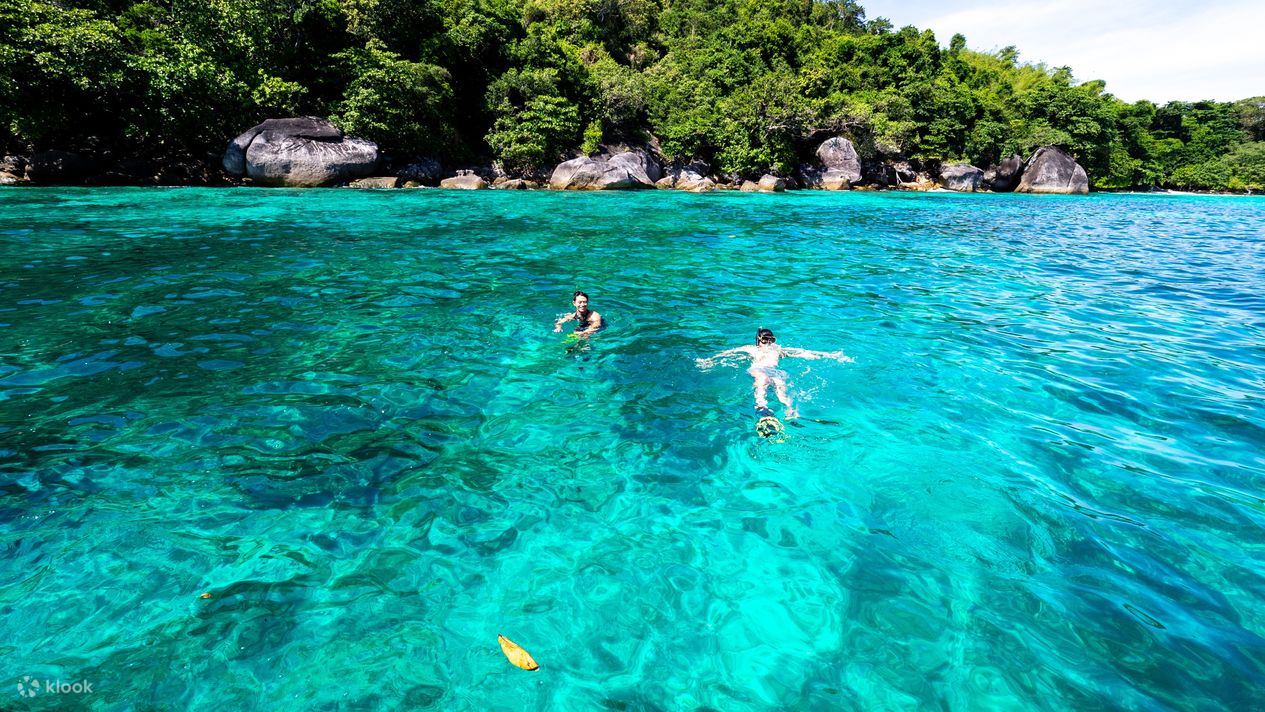 Similan Island Bungalows