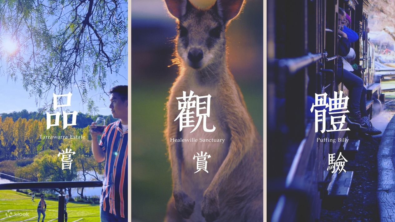 Tarrawarra Estate, Healesville Sanctuary & Puffing Billy Train Tour