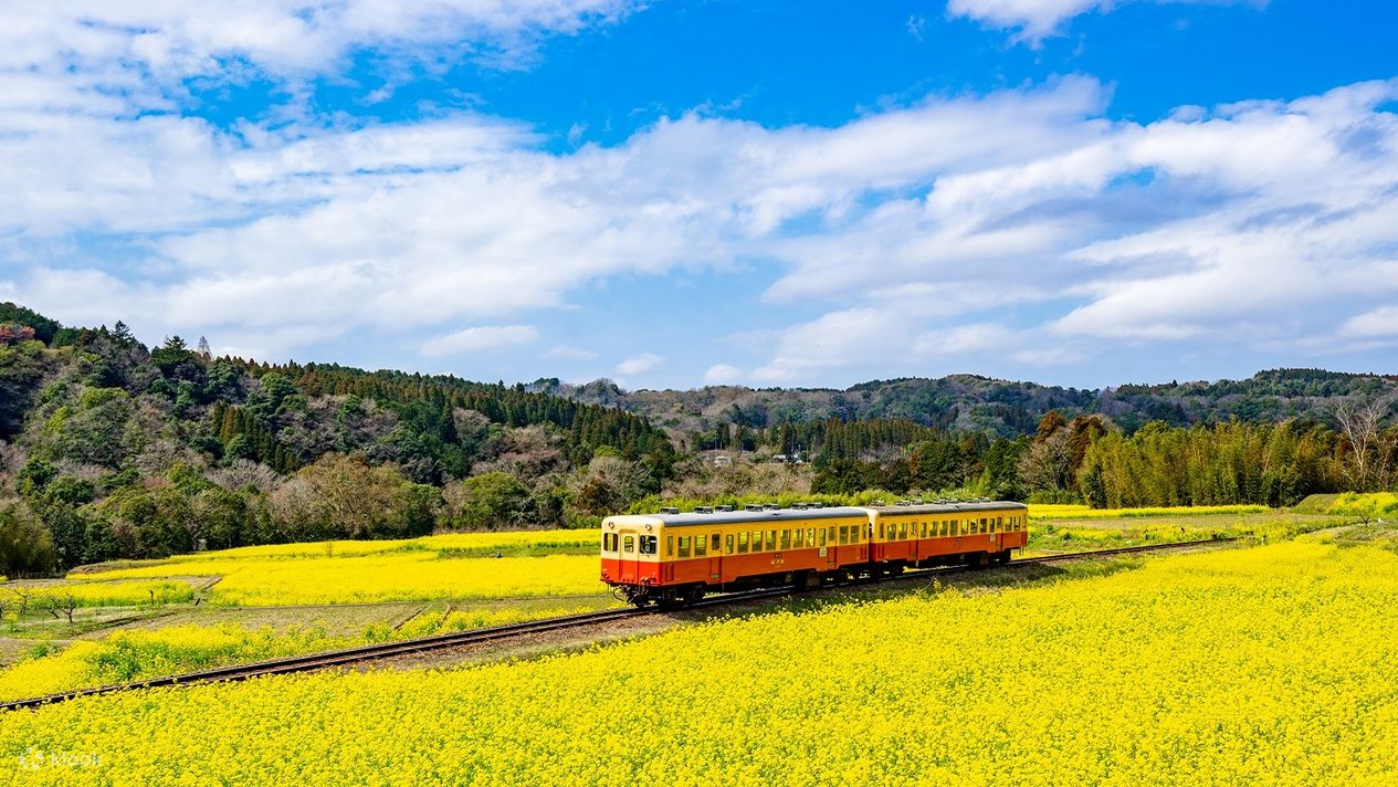 Chiba Spring Countryside Tour