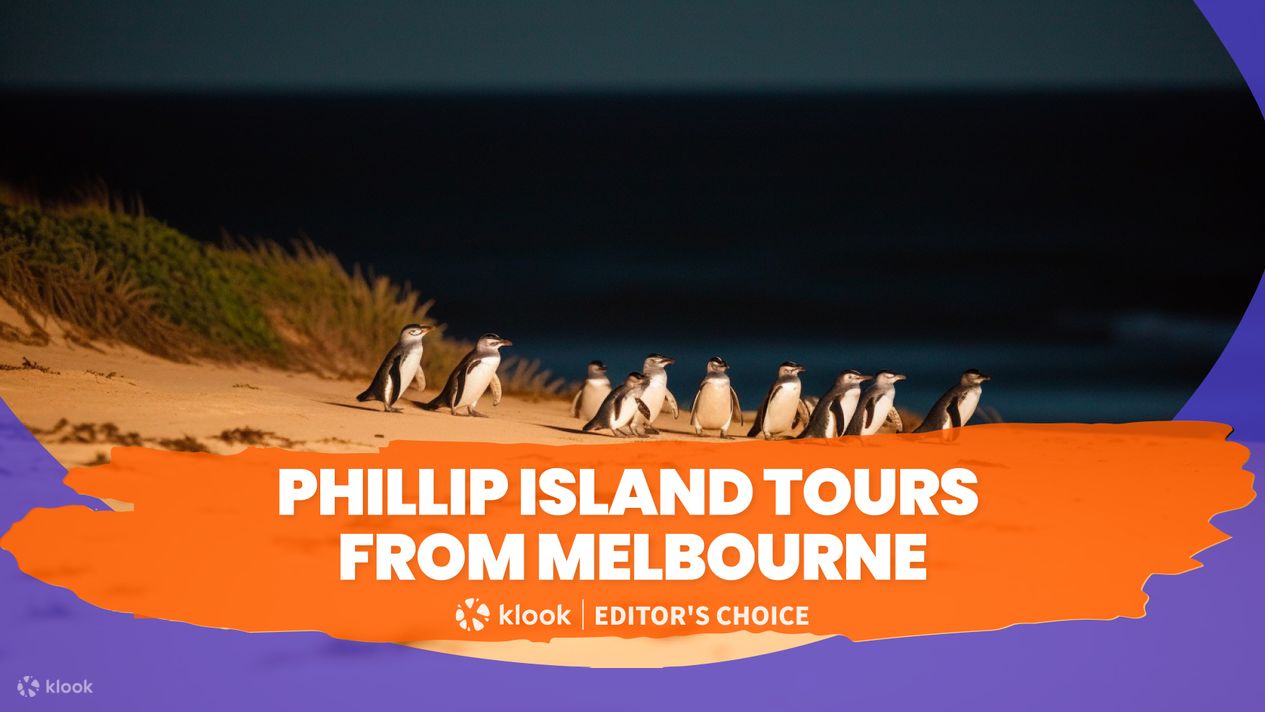 Phillip Island Tours from Melbourne - Klook