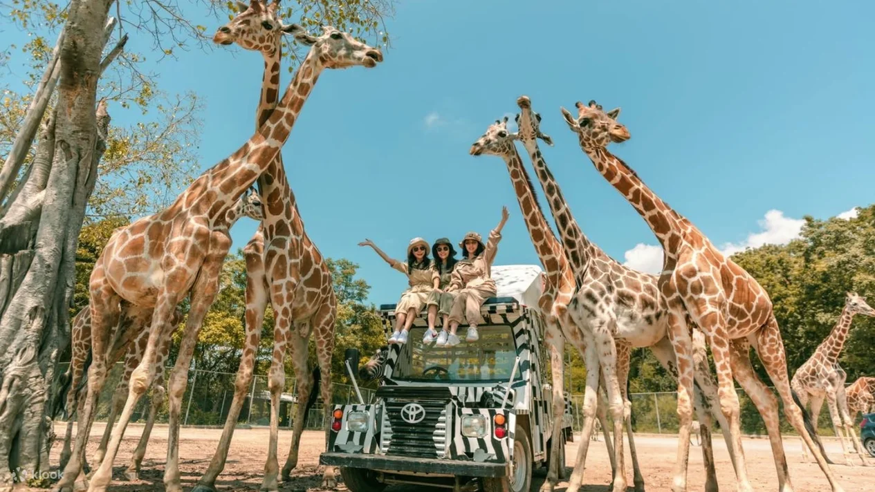 Kanchanaburi Safari Park