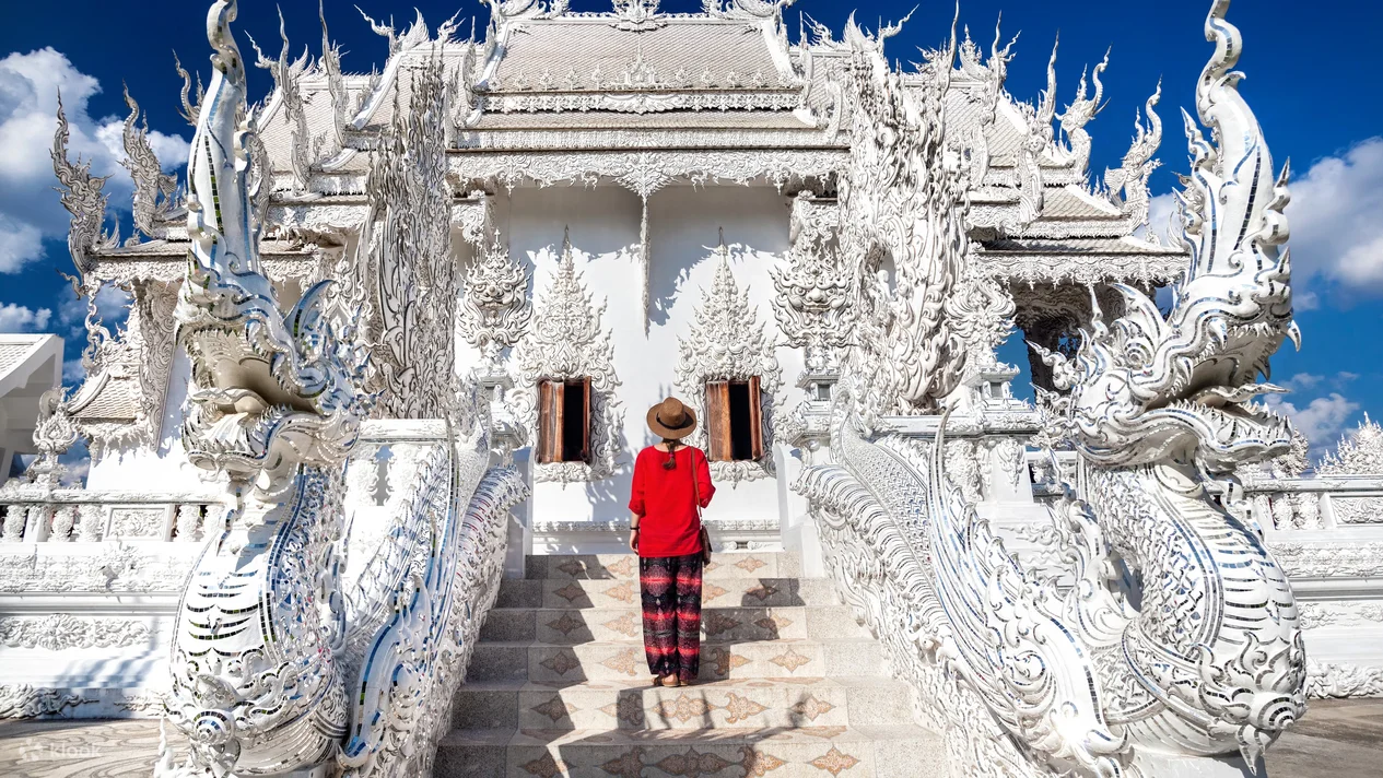 Chiang Rai Iconic White, Blue Temple, Black House Museum Day Tour