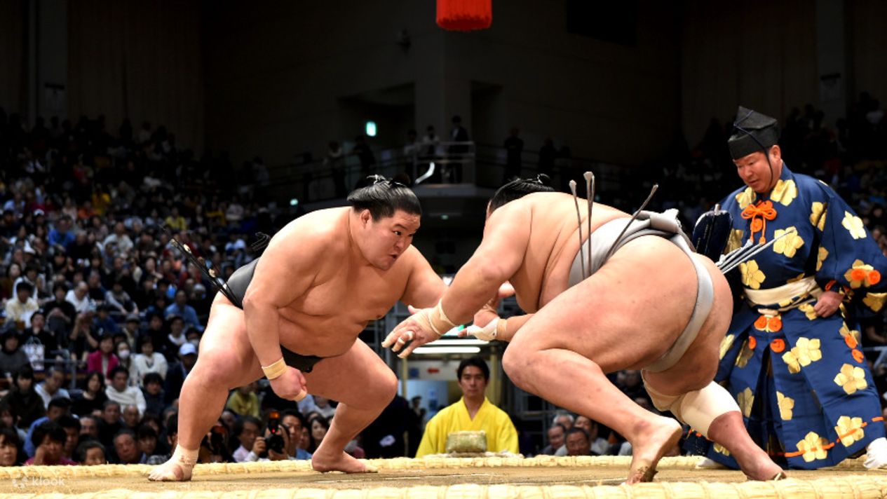 Sumo Wresting Tournament Ticket in Fukuoka Klook