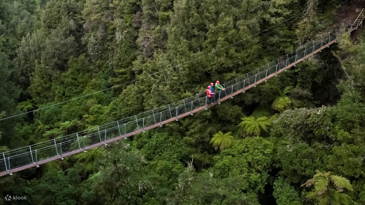 rotorua canopy tours reviews