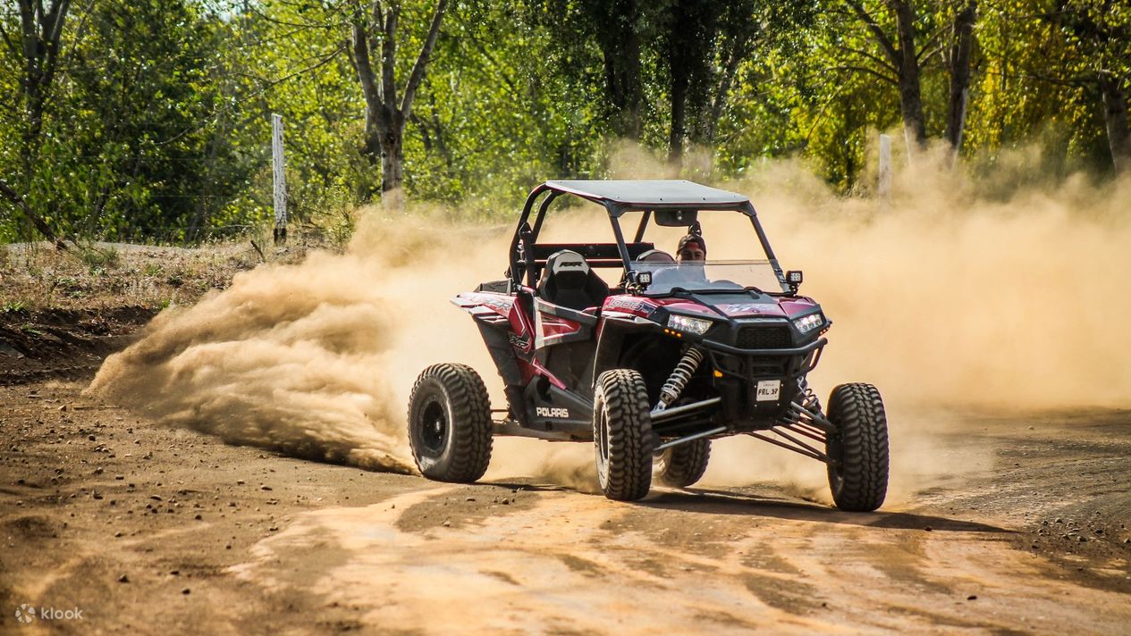 Quad Rhino багги atv