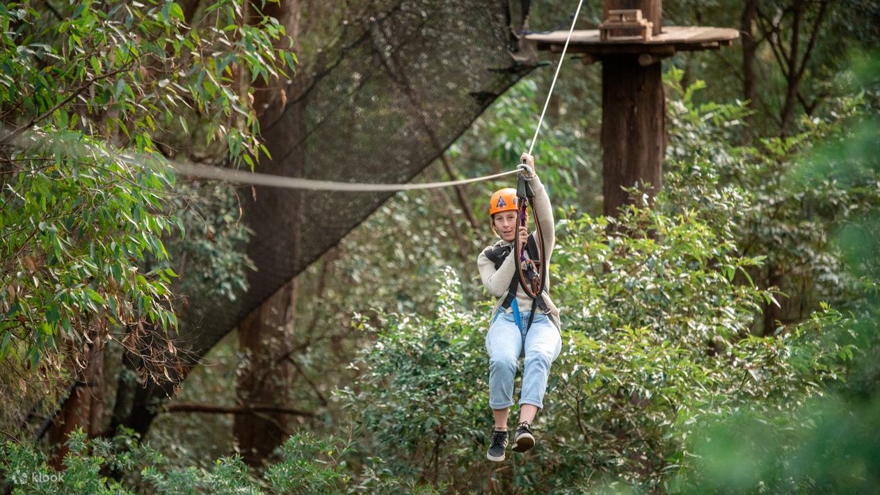 Tree Ropes Course And Net World Experience in Central Coast - Klook ...