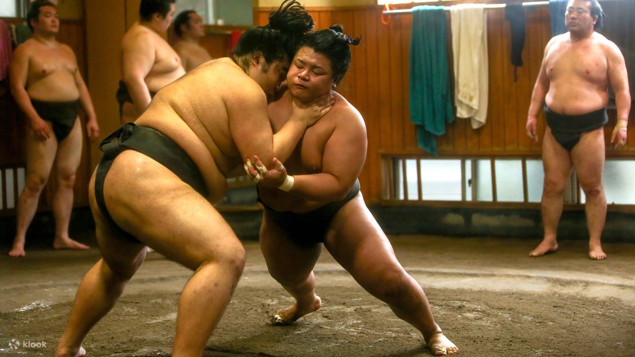 Sumo Practice Viewing