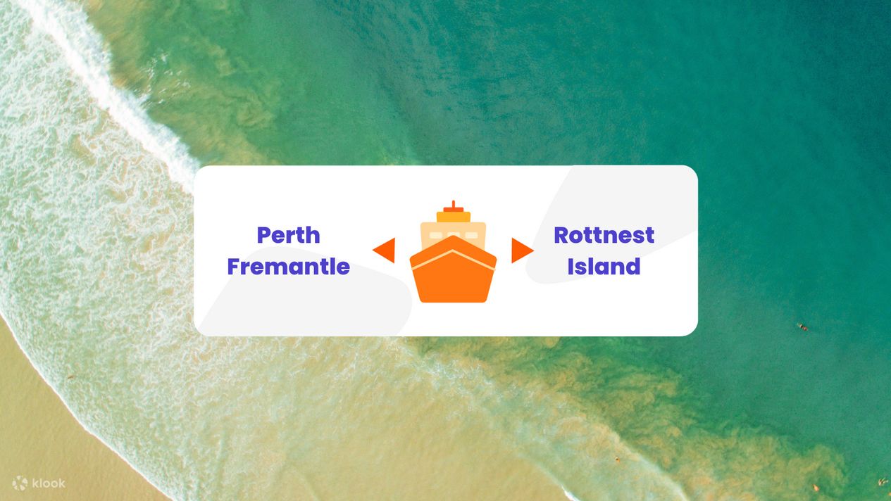 rottnest-island-ferry-tickets-from-perth-or-fremantle-klook-singapore