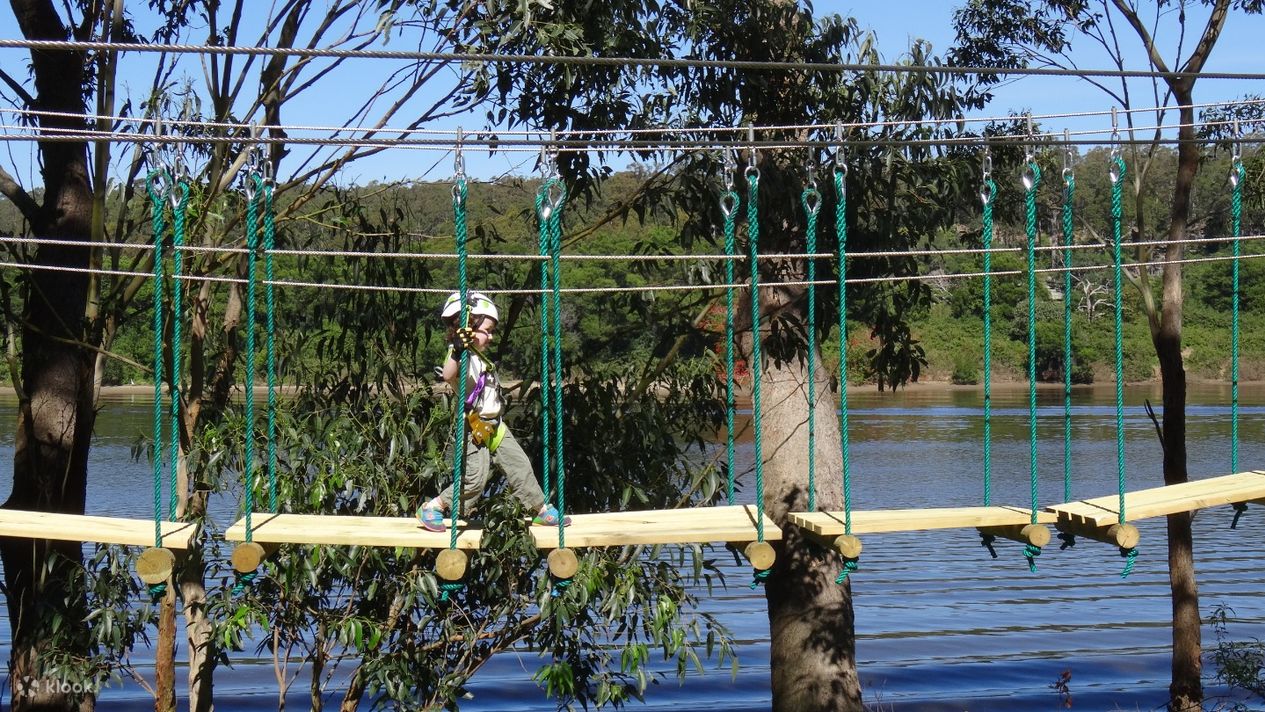 Treetop Climbing and Ziplining Experience - Klook Malaysia