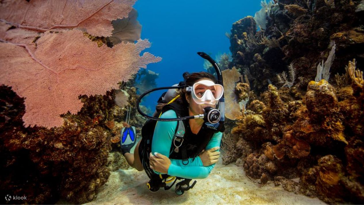 Discover Palawan's Japanese WWII wrecks with the PADI Open Water Diver