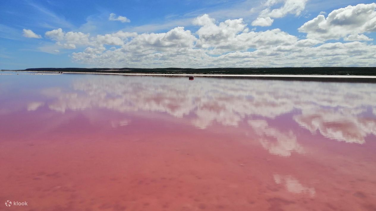 3 Day Pink Lake, Kalbarri and Margaret River Tour from Perth Klook