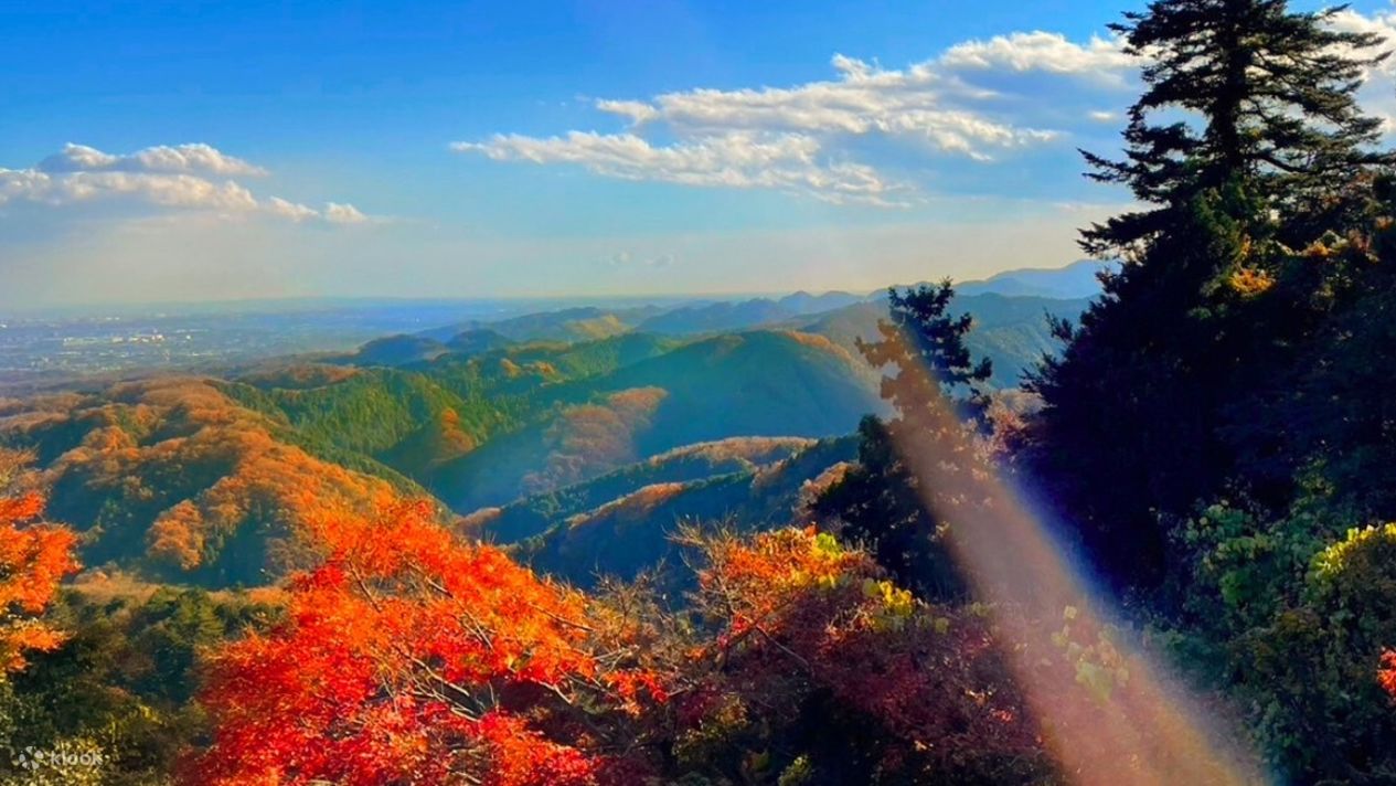 Mt. Takao Seasonal Hiking
