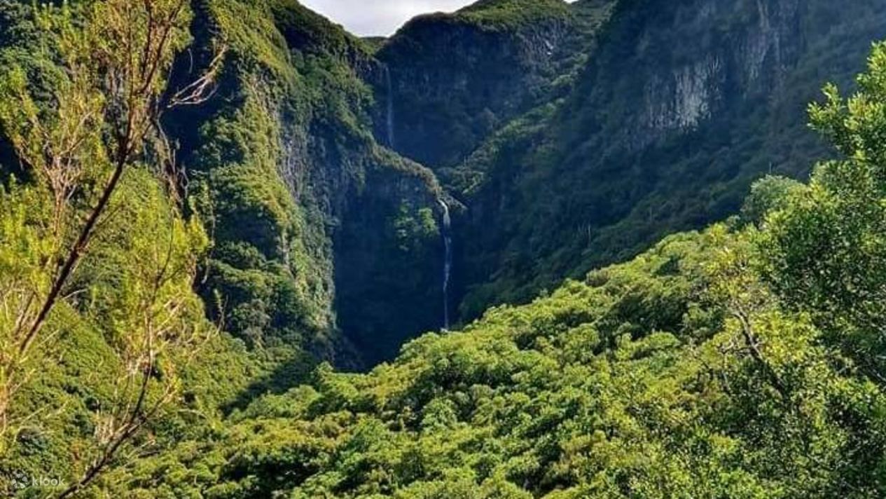 25 Fontes and Risco Levada Hike Transfers Klook