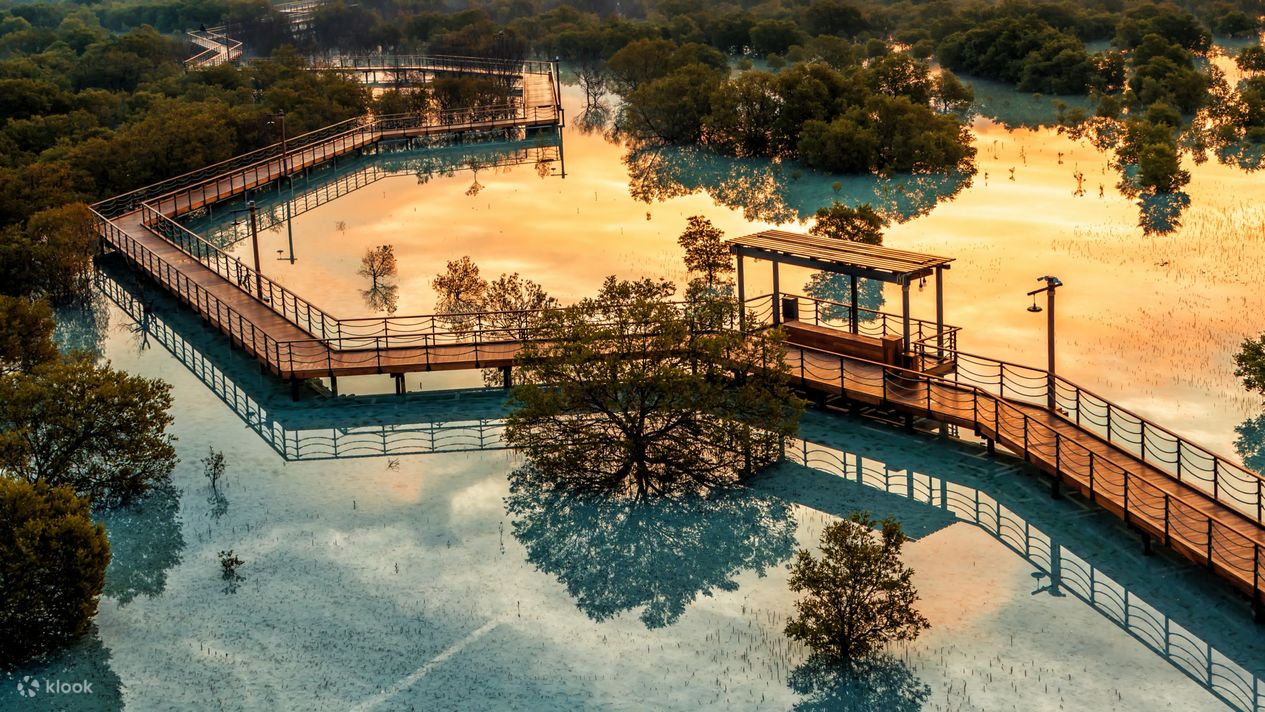 jubail-mangrove-park-ticket-in-abu-dhabi-klook-estados-unidos