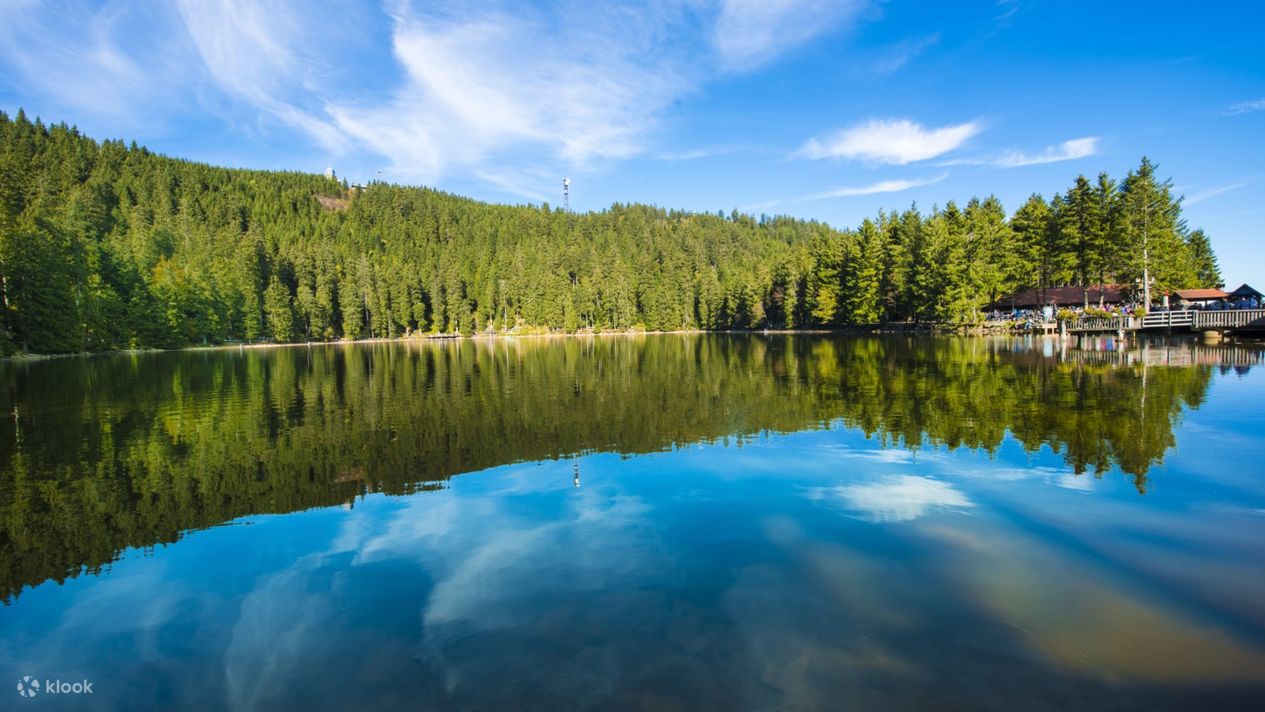 Black Forest Day Tour from Strasbourg Klook Canada